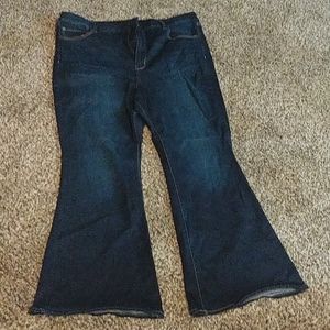American Eagle Curvy Jeans